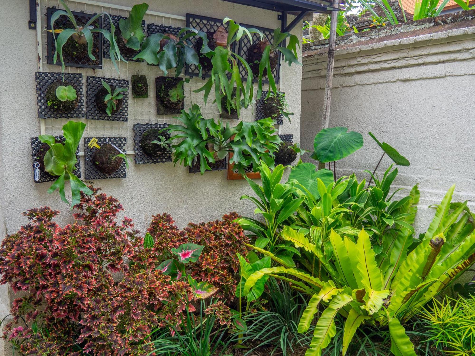 Arumasta Ubud Kültér fotó